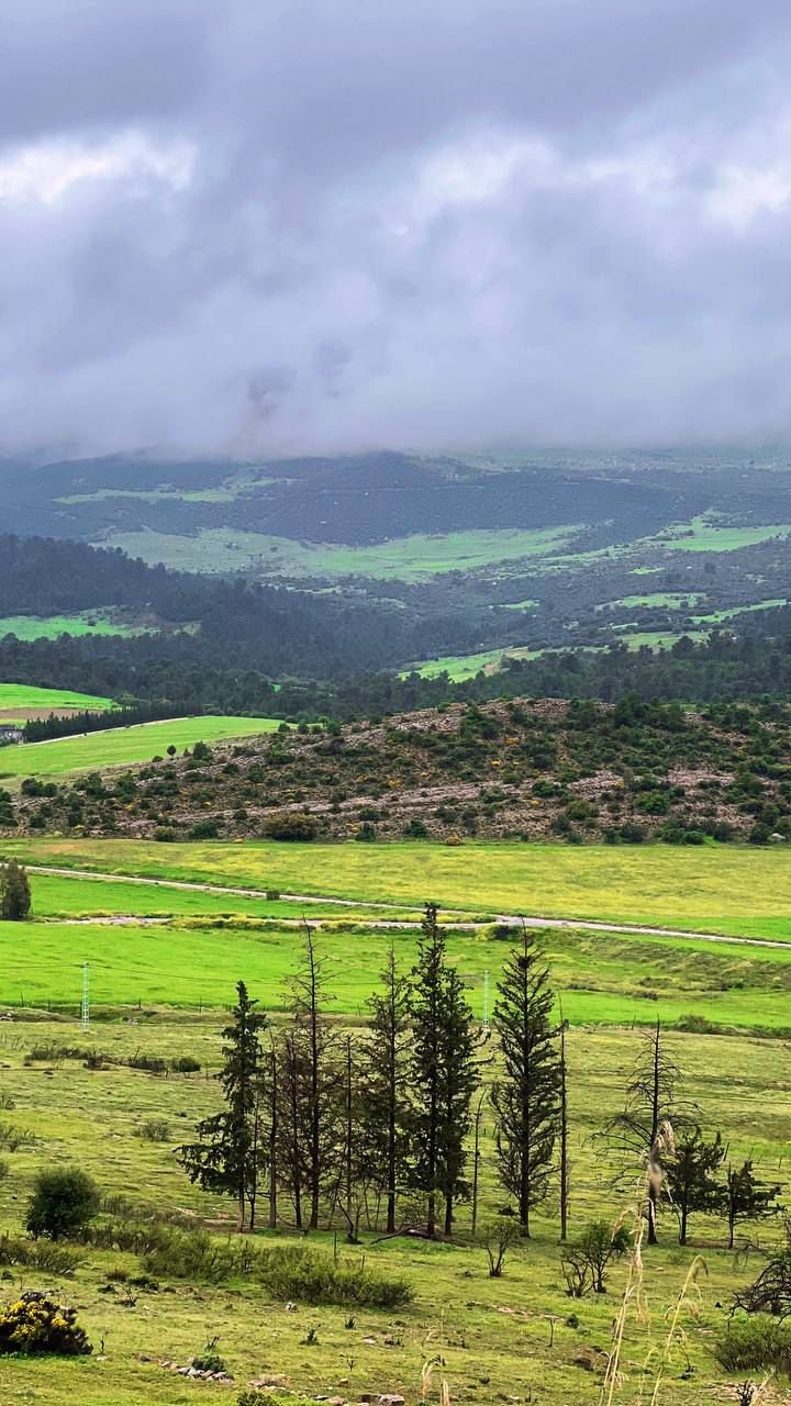 دوار طافتشنة الحامة